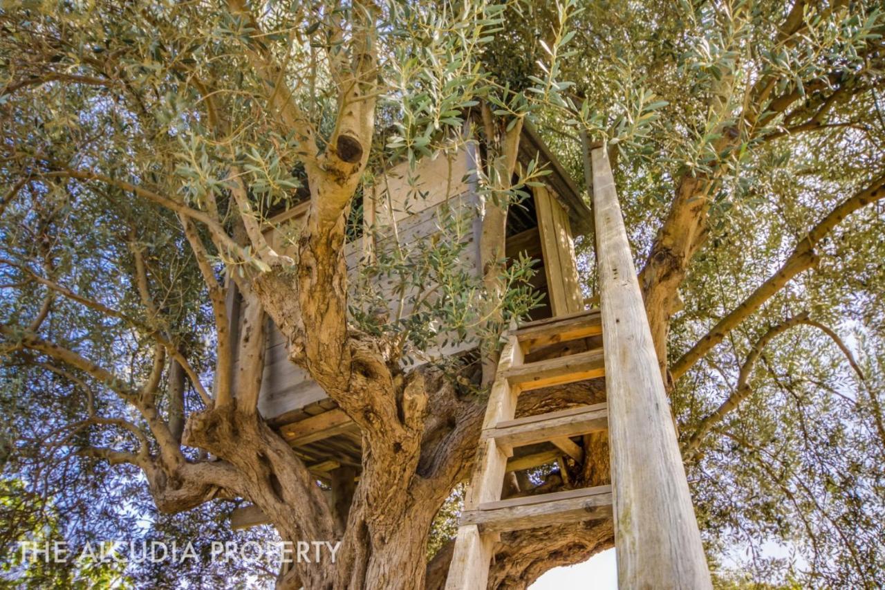 Finca Pegasus Alcúdia Buitenkant foto